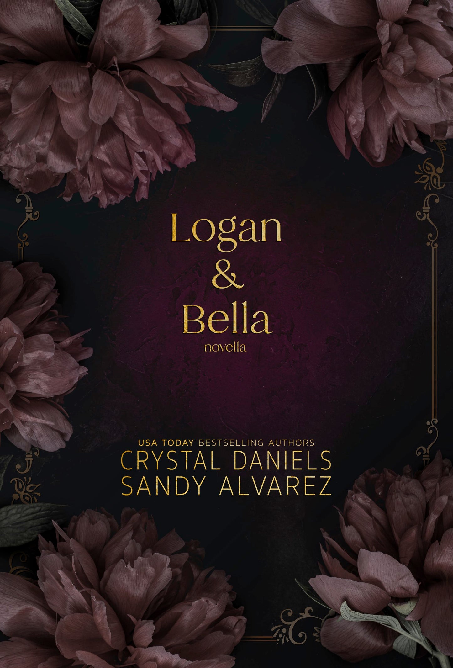 Logan & Bella Novella (Kings of Retribution MC Montana Discreet Series)