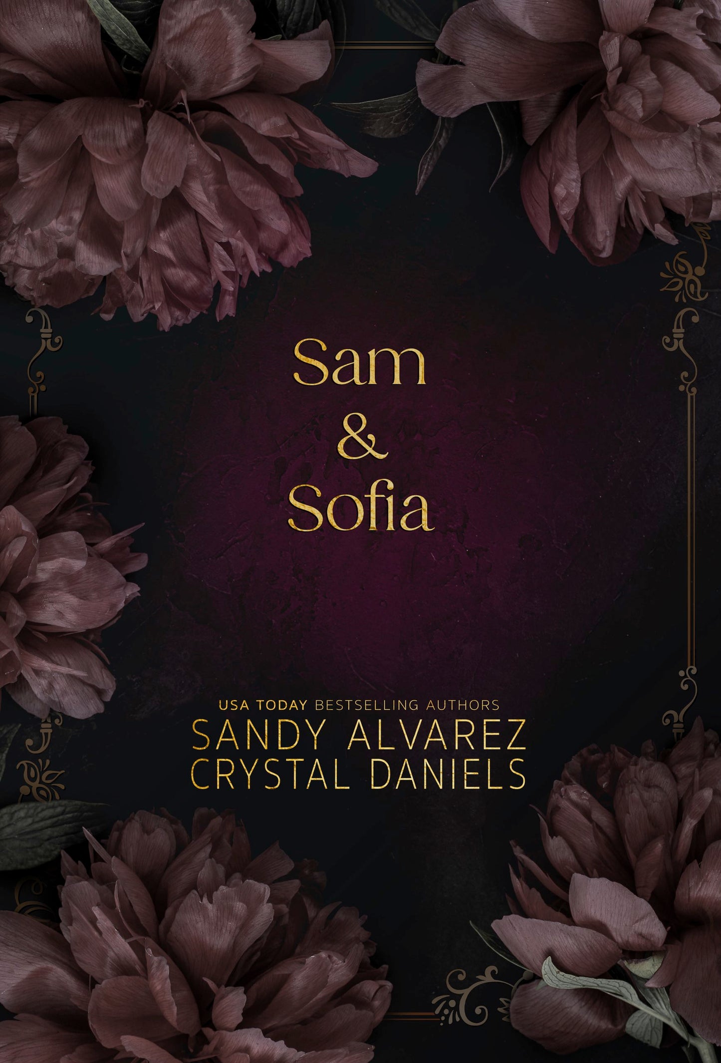 Sam & Sofia (Kings of Retribution MC Montana, Discreet Series)